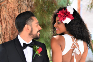 6/6/26 Las Vegas wedding packages
